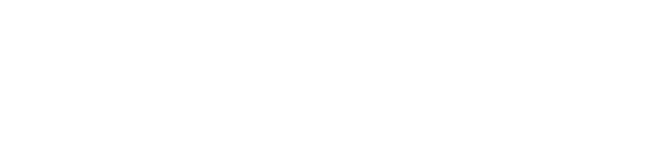 Botafitt